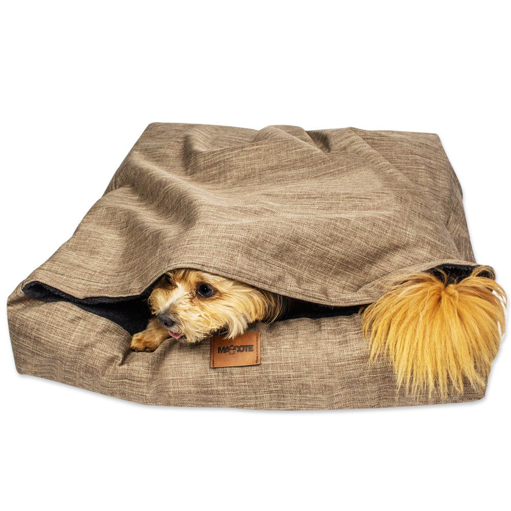 Cama  pet Envelope